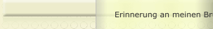 Erinnerung an meinen Bruder